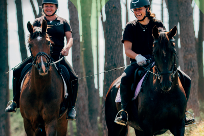 Screen Shot 2020-07-15 at 1.18.56 PM