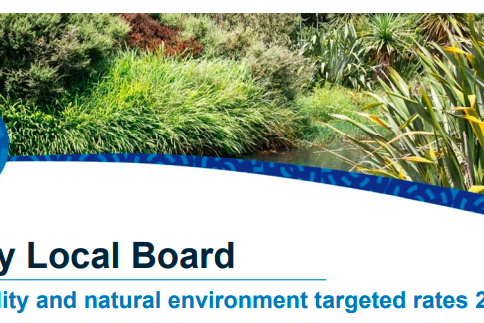 Screen Shot 2020-08-19 at 3.38.07 PM