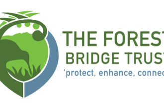 Screen Shot 2020-12-23 at 1.35.02 PM