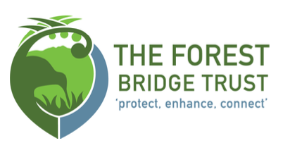 Screen Shot 2020-12-23 at 1.35.02 PM