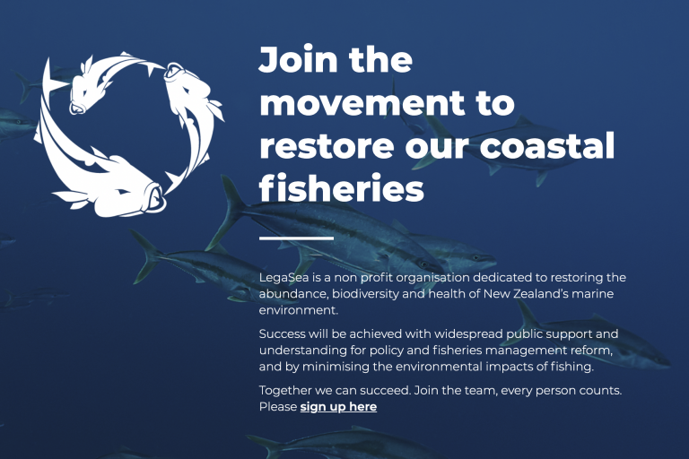 Screen Shot 2021-03-07 at 9.24.00 PM