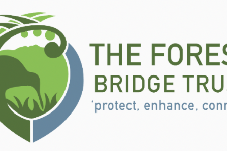 Screen Shot 2021-08-02 at 11.35.46 AM