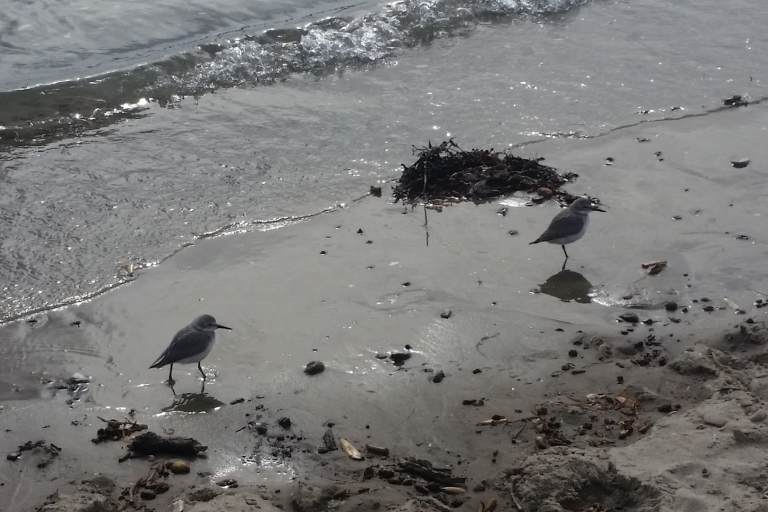 Screenshot_2021-11-04-09-39-50