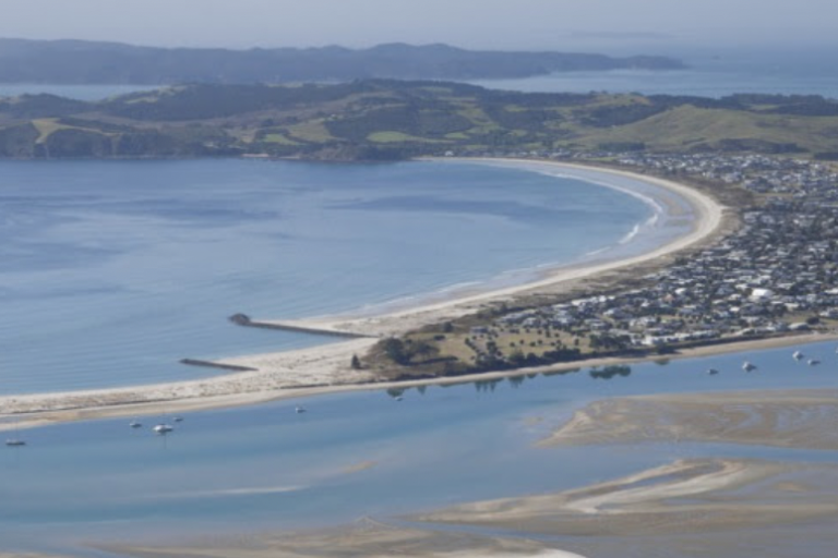 Screen Shot 2022-05-10 at 8.45.06 PM