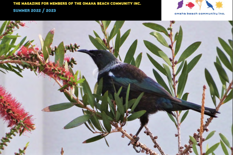 Screen Shot 2022-12-12 at 8.48.11 AM