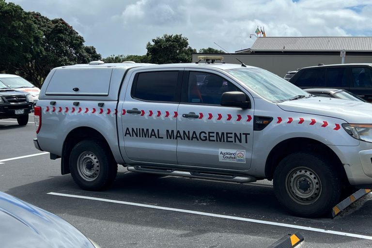 BEF611CB-CEFE-435F-BDCC-9BDC27A02E9D