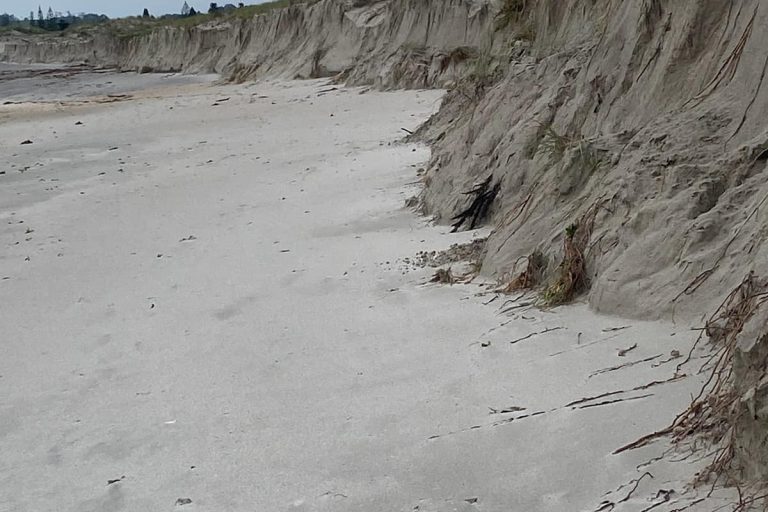 329564800_1375623856583429_1031502119891718927_n