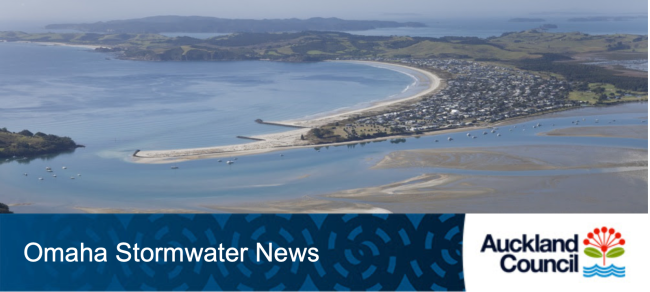 Screen Shot 2023-05-11 at 2.50.59 PM