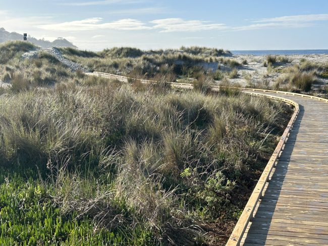 354064537_180888488286920_1638639220197947818_n