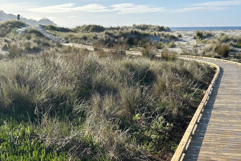 354064537_180888488286920_1638639220197947818_n