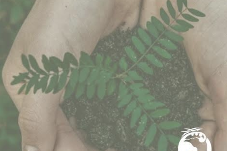 Screenshot 2023-08-08 at 3.31.59 PM