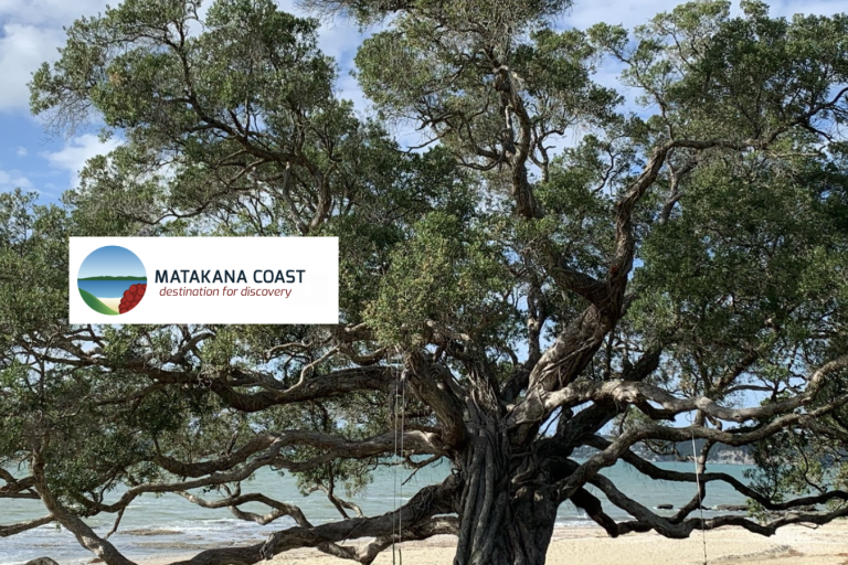 Screenshot 2023-09-30 at 1.31.42 PM