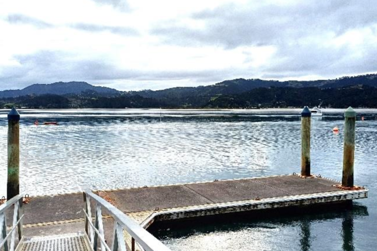 Screenshot 2024-06-26 at 1.25.59 PM