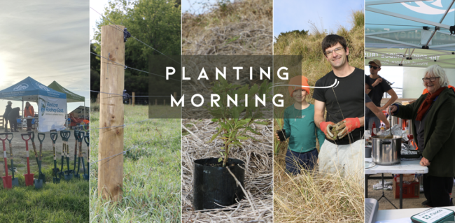 Screenshot 2025-06-02 at 7.21.57 PM